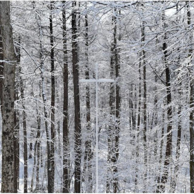 THE NIDOM RESORT WEDDING  ニドムリゾートウエディング