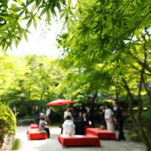 庭園でお茶とお菓子をお召し上がりいただけます|八勝館の写真(820848)