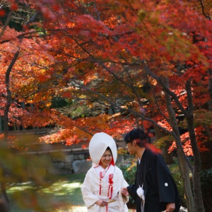 紅葉の絨毯のバージンロードはこの季節だけの特別な挙式が味わえます|八勝館の写真(1597128)