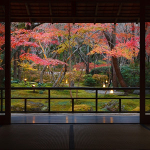 どのお部屋からもお庭が楽しめます|八勝館の写真(821306)