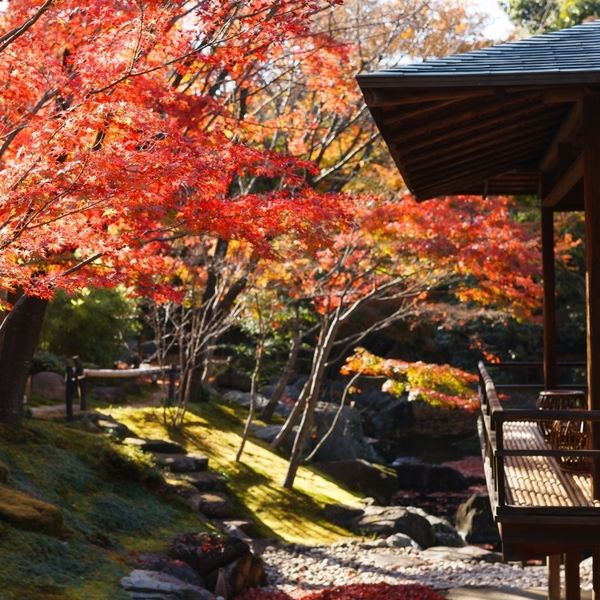 八勝館(国登録有形文化財)の写真(821316)