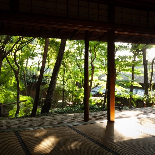 お部屋は全て庭に面しており、四季折々の表情をお楽しみいただけます。|八勝館(国登録有形文化財)の写真(803494)