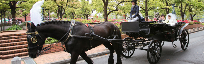ウェスティンホテル東京