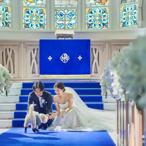 大切な家族の一員のペットも一緒の祝福できる|アニヴェルセル 立川の写真(47627223)