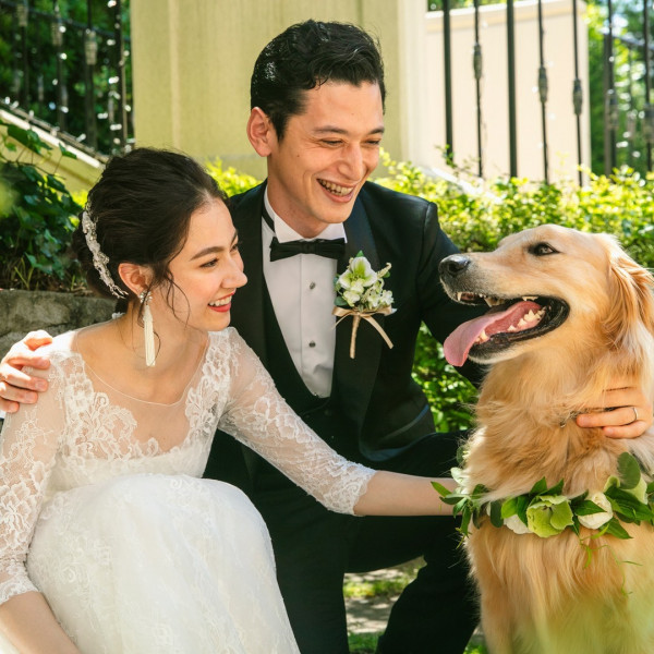 東京のペットと一緒の結婚式ができる結婚式場 口コミ人気の選 ウエディングパーク