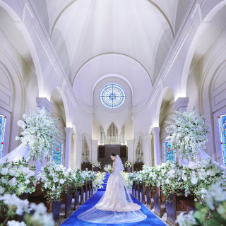 ロイヤルブルーのバージンロードに映えるプリンセスラインやAライン等トレンドに合わせた幅広い希望を叶えられます