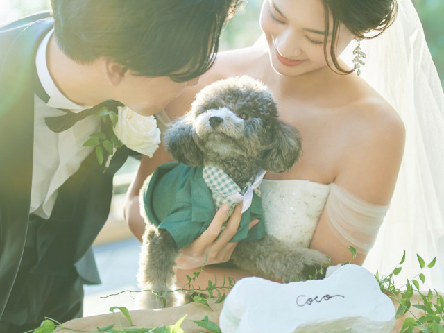 ”ペット婚“で選ばれるアニヴェルセル立川