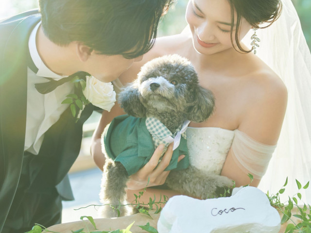 ”ペット婚“で選ばれるアニヴェルセル立川