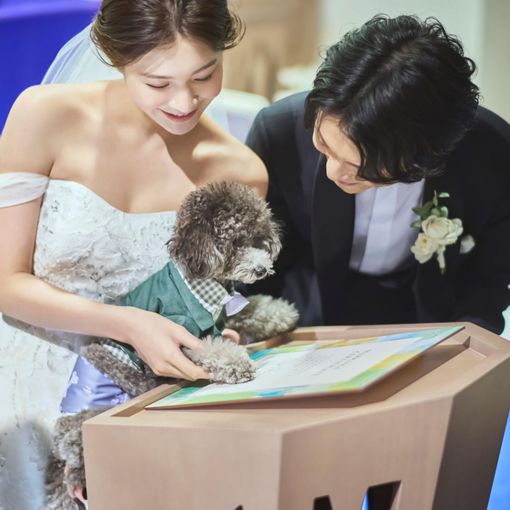 アニヴェルセル 立川の結婚式の公式写真（1枚目）