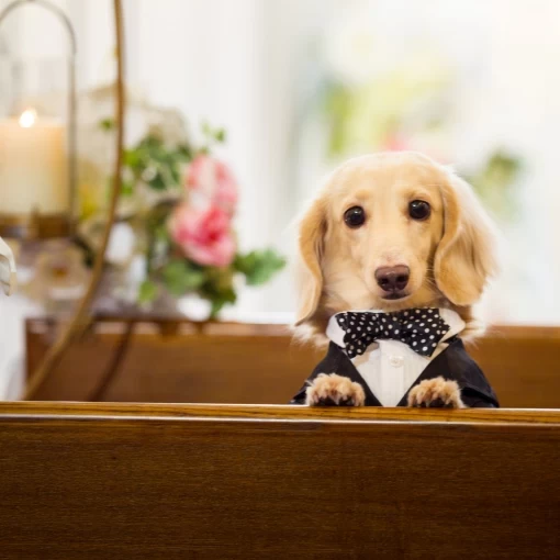 ラヴィール岡山