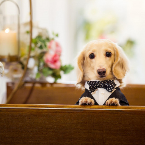 ラヴィール岡山