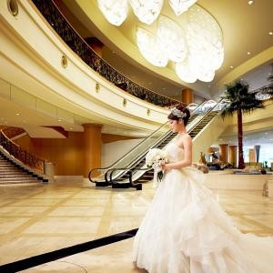 【初見学に大人気!】豪華特典付きで結婚式への不安解消フェア