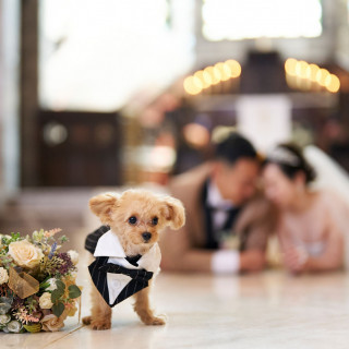 愛犬と一緒に撮影できます。
