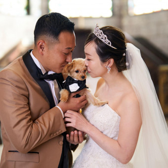 愛犬wedding
