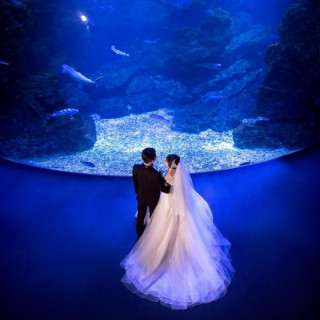 【想い出の場所で結婚式】京都水族館での挙式・フォトウエディング相談会
