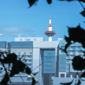 京の玄関口、JR京都駅から徒歩1分|マリアージュグランデの写真(47088229)