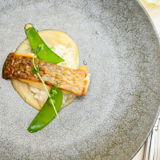 和テイストのフレンチ料理。老若男女問わず愛されるお料理を心掛けております。