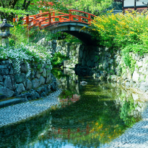 豊かな緑がしげる心落ち着く雰囲気は、喧騒や日常を忘れさせてくれる|京都ノーザンチャーチ北山教会の写真(55473438)