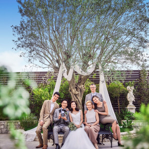 樹齢180年のシンボルツリー“オリーブの樹”|京都ノーザンチャーチ北山教会の写真(55472486)