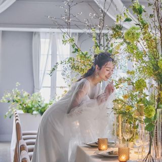 1件目来館【ドレス＆タキシード50%オフ】TAKAMI BRIDALの衣裳8000デザイン～選べる