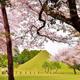 近接する水前寺成趣園(1)