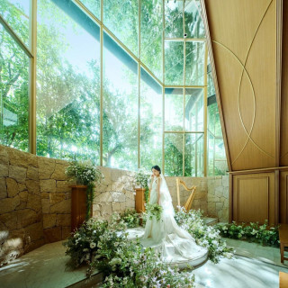 平日限定BIG＼10大特典×コース試食／全館ALL解放★貸切Wツアー