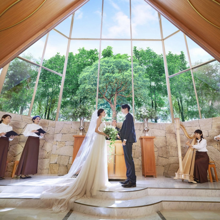 アーフェリーク迎賓館 熊本 の結婚式 特徴と口コミをチェック ウエディングパーク