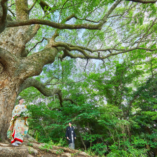 和装にもぴったり!緑に囲まれた国立公園での撮影もオススメ