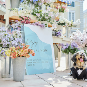 愛犬と一緒に結婚式も|アニヴェルセル 大宮の写真(44692353)