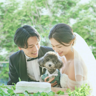 【ペット挙式限定プランをご紹介】