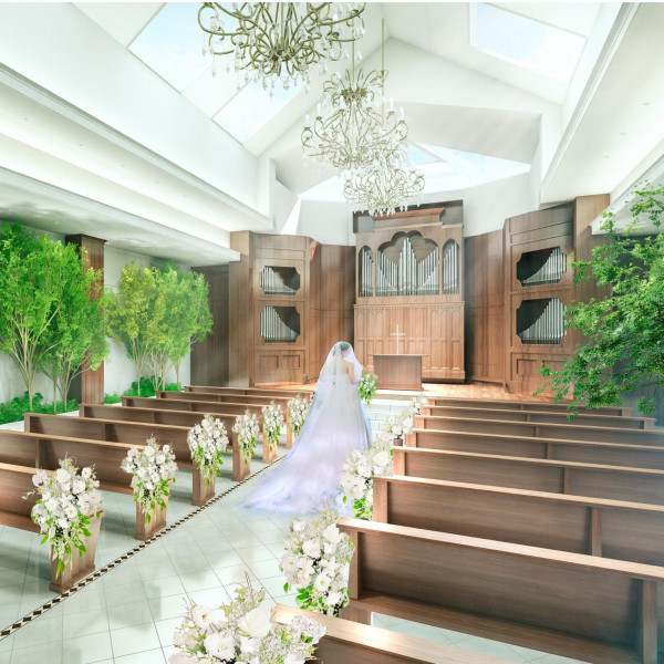 光と緑の大聖堂