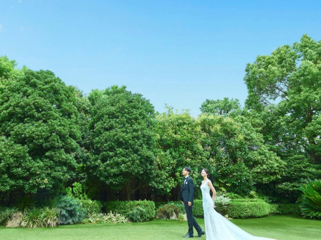 【公式HP予約限定】