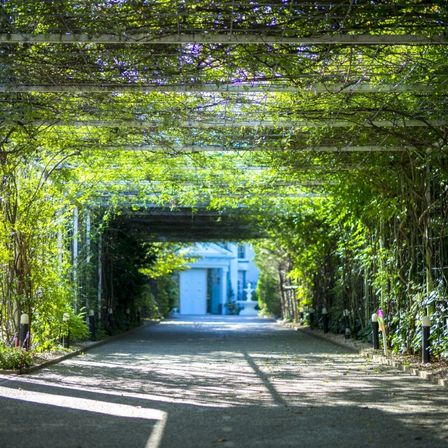 【バラのアーチ】訪れた全ての方を優しく迎える木々の心地よさにパーティへの期待感が膨らみます|華王殿　KAODENの写真(861172)