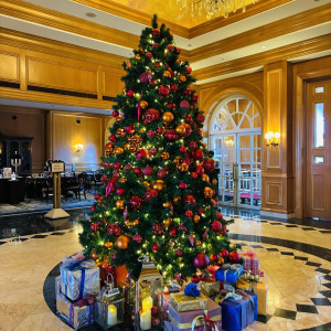 【12.1~25まで限定】衣裳特典付きXmas相談会★