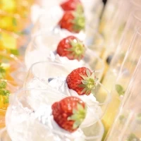 Geo World VIP（ジオワールドビップ）