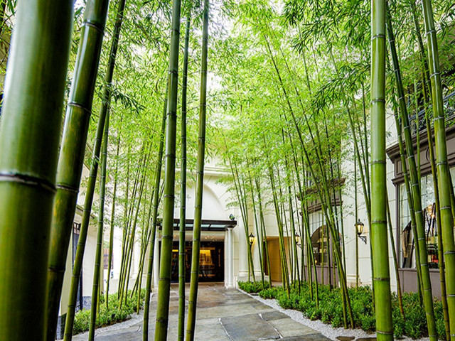 結婚式後もおふたりの【大切な場所】に訪れることができる『OBイベント』