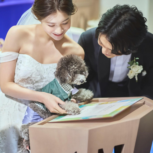 一緒にかなう演出もご紹介