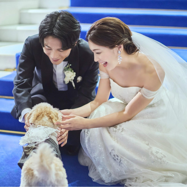 【わんちゃんもドレスコードで想い出の写真を】『リングドッグ』は注目の的！