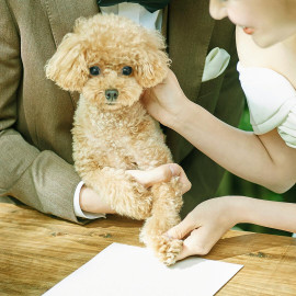 ペット婚5大優待◆平日限定と個室で安心◆リングドック体験&黒毛牛試食