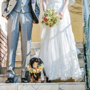 大切なペットも挙式に参加OK！|ST.MARGARET WEDDING（セント・マーガレット ウエディング）の写真(44399993)