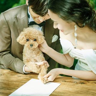 ペット婚5大優待◆平日限定と個室で安心◆リングドック体験&黒毛牛試食