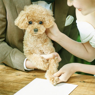 ペット婚5大優待◆平日限定と個室で安心◆リングドック体験&黒毛牛試食