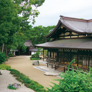 中世貴族が愛した御殿造りの神館|住吉大社の写真(704766)