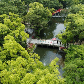 緑に囲まれた3万坪の境内