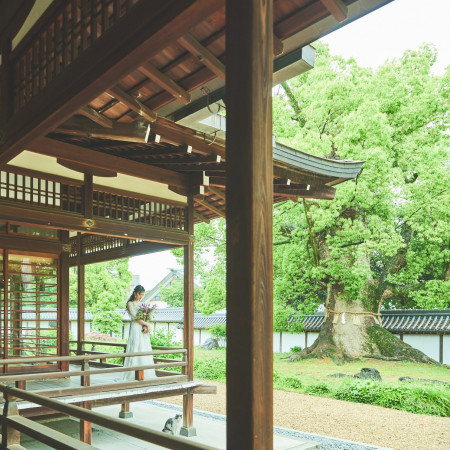 樹齢約千年のご神木を背景に