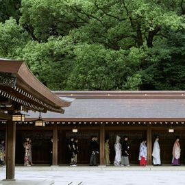 【明治神宮の杜を体感】明治神宮見学＆はじめての婚礼相談会