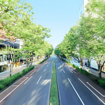 【表参道駅10秒】表参道のランドマーク的存在