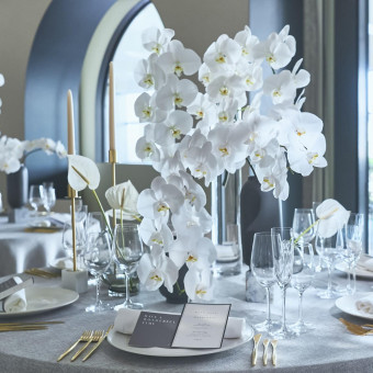 テーマに合わせてコーディネートも自由自在に