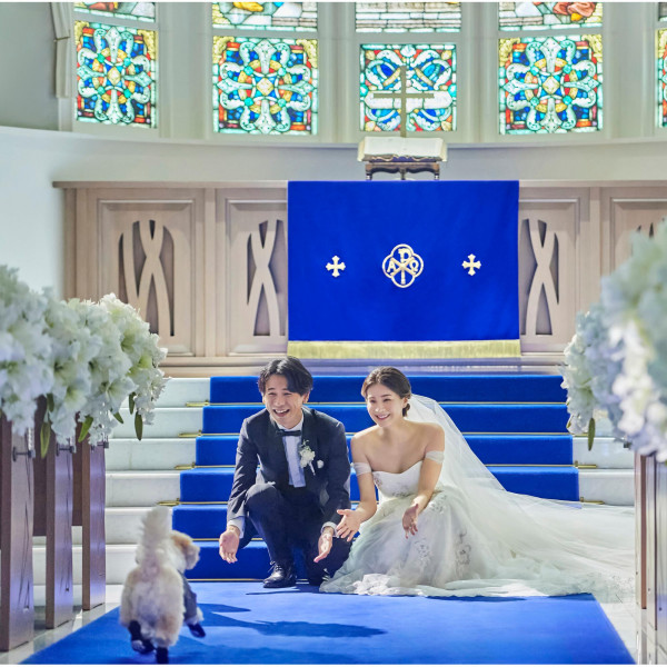 ペットと一緒に手元アップ