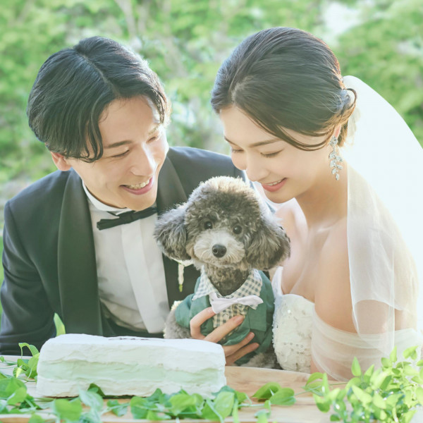 大切ペットと一緒にできる演出もご紹介